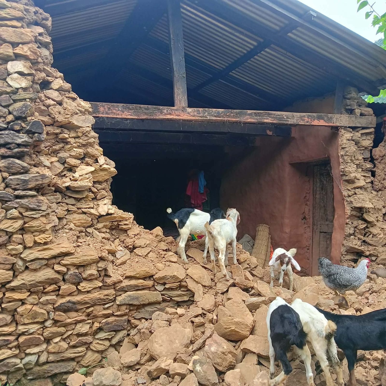 अविरल वर्षाका कारण घरमा क्षति